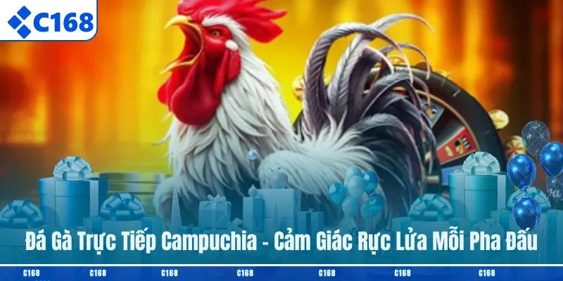 Đá gà trực tiếp Campuchia